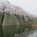 桜と石垣と小舟