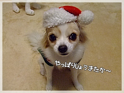 やっぱりいぃ~