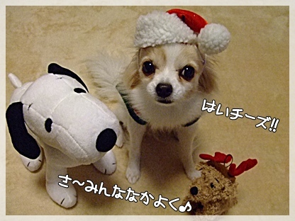 ハイチーズ