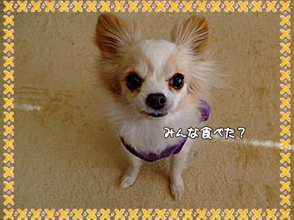 DSCF42210