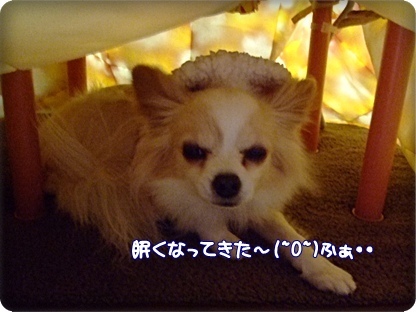 (-_ゞ ゴシゴシ