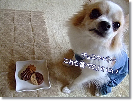 食べていい?