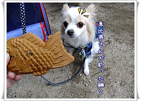 鯛焼き