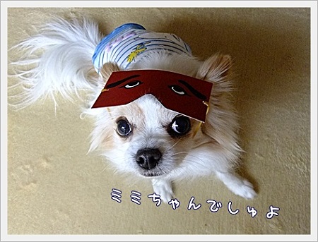 どんたく