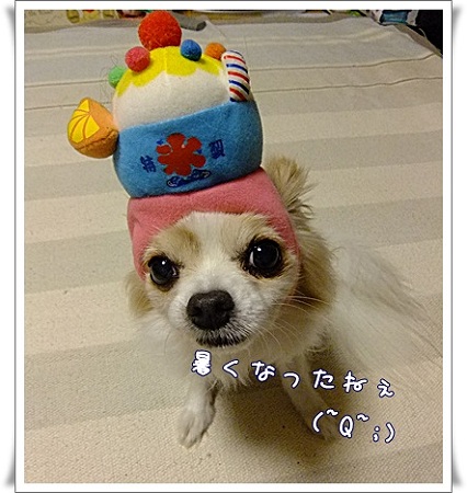 暑い