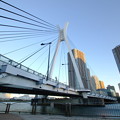 Photos: 青空に中央大橋