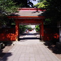 息栖神社 神門と拝殿