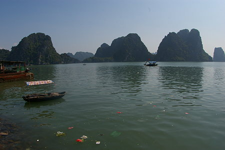IMGP4781