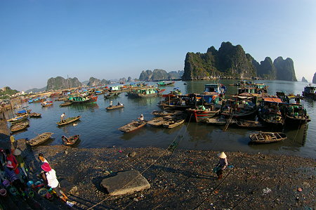 IMGP4969