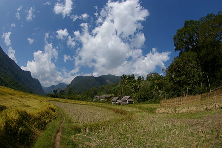 IMGP6727