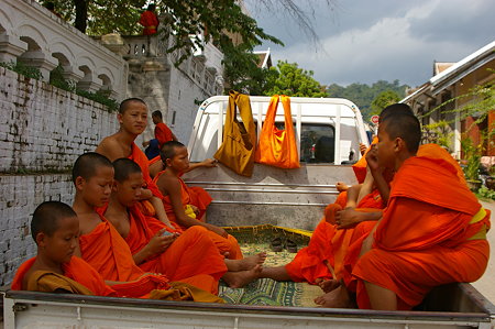 IMGP7194