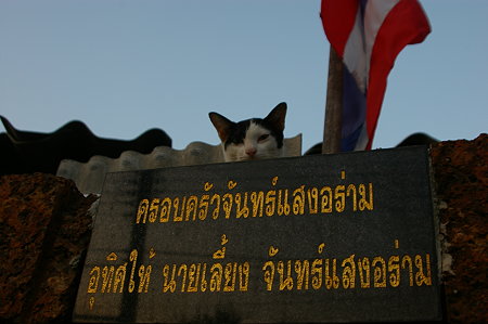 IMGP0569