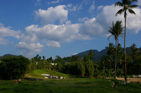 IMGP0956