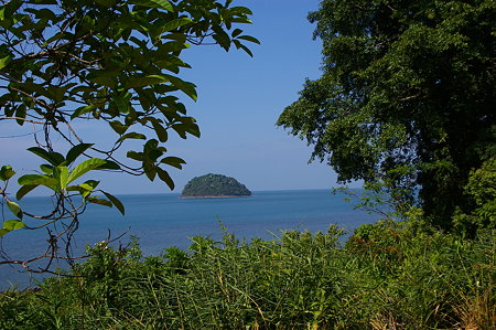 IMGP2648