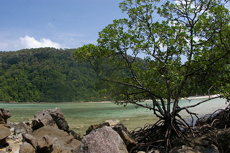 IMGP6494