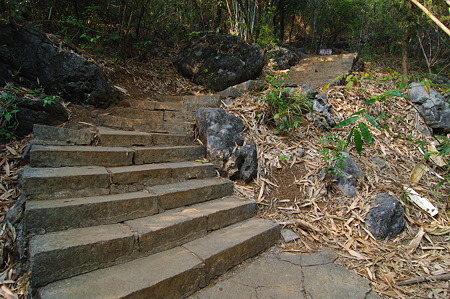 IMGP2734