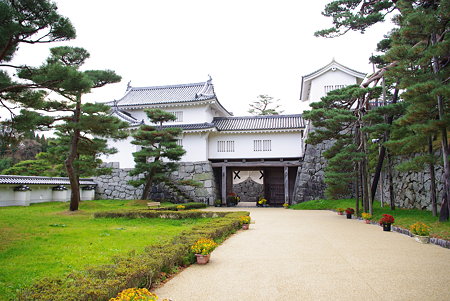 IMGP2701