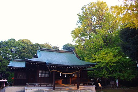 IMGP3206