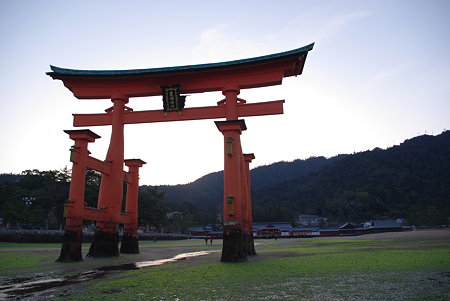 IMGP8237
