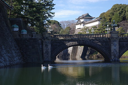IMGP9389