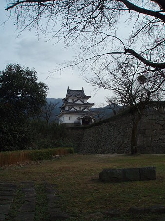 P1030509