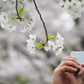 Photos: 撮るひと