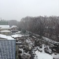 Photos: 初積雪