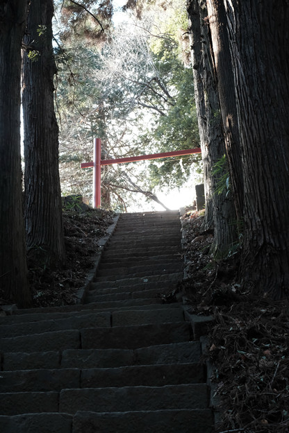 Photos: 新府城04_本丸への階段-7086