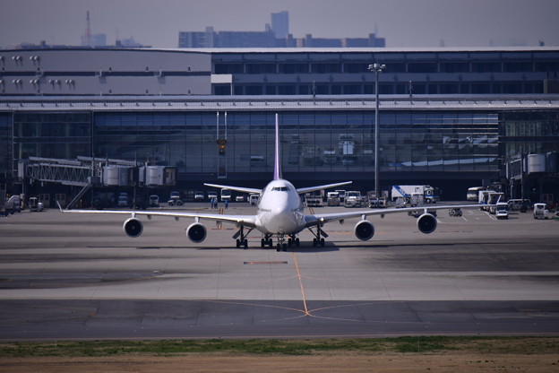 タイ航空のジャンボ 久々見る正面 羽田空港国際線ターミナル 写真共有サイト フォト蔵