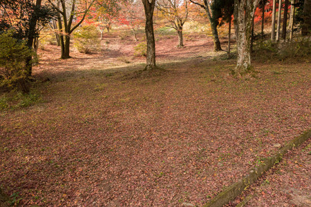 2014紅葉の鳥見山公園・3