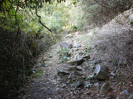 R42旧道・荷坂峠1