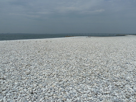 20120603_りんくう (2)