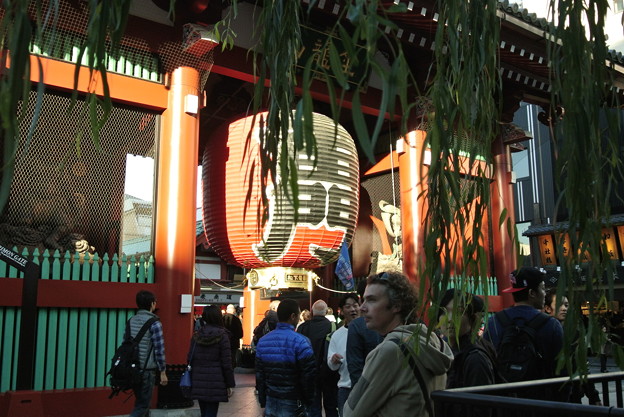 20141114_106