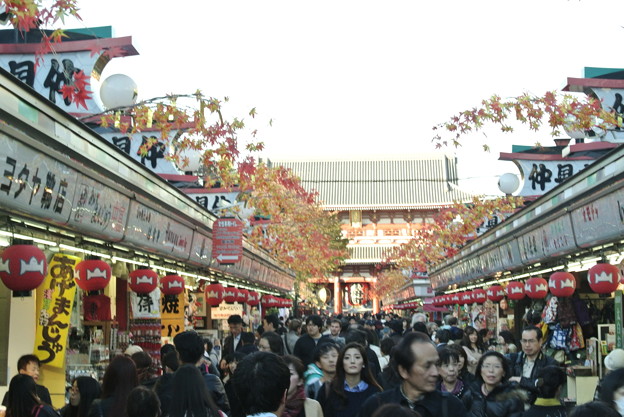 20141114_113