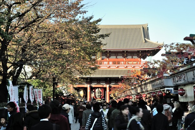 20141114_115