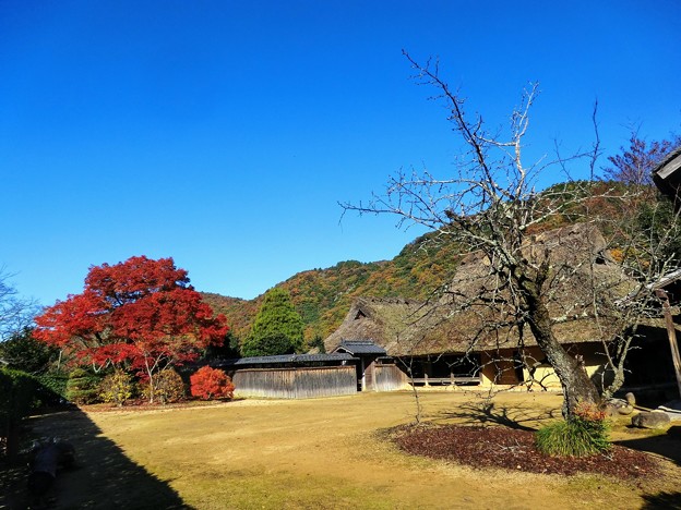 箱木家住宅