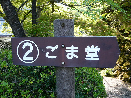 2011.5.8 091