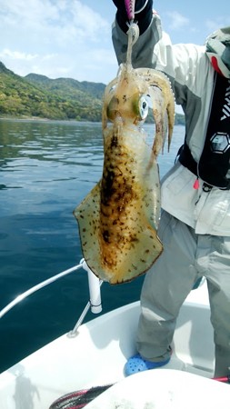 Squid_friend