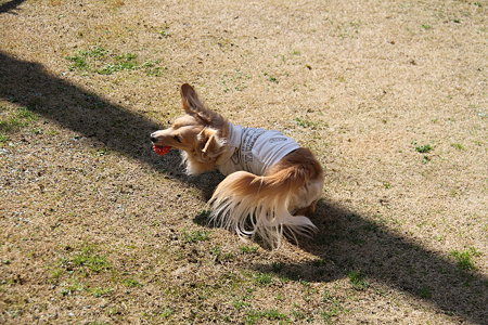 おっし!