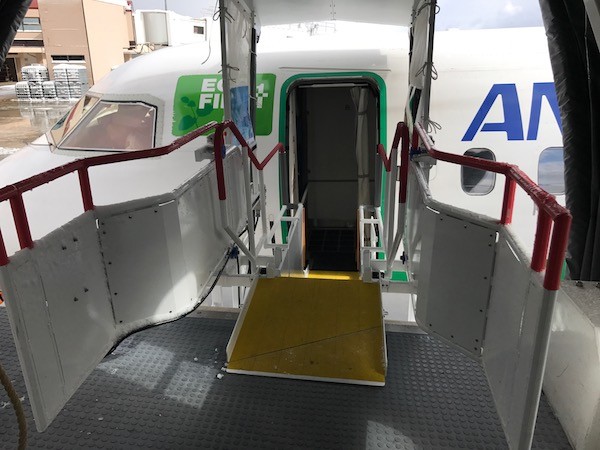家内は大阪から来た緑の飛行機を降りたところ