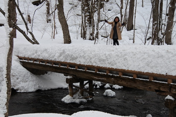 遊歩道の橋の上に積もった雪の上