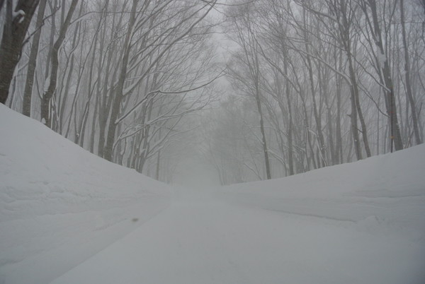 八甲田付近では激しい吹雪に遭遇
