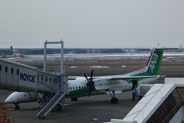 幸運にも緑の飛行機に乗れる