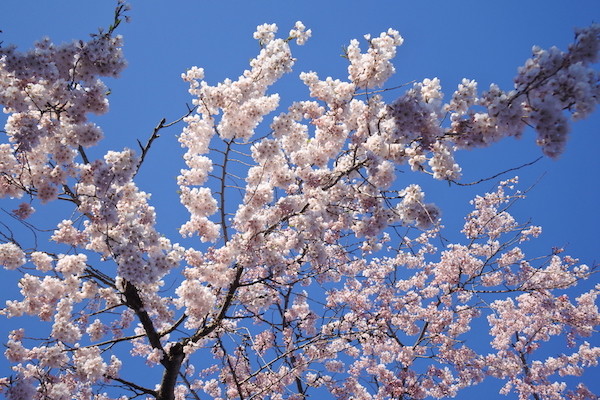 真っ青の空に恵まれた