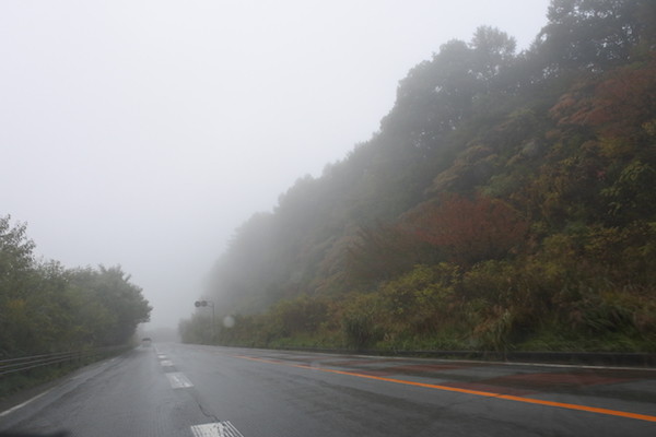 晴れたいたらきっと綺麗な紅葉　雨の中も雰囲気があって良い