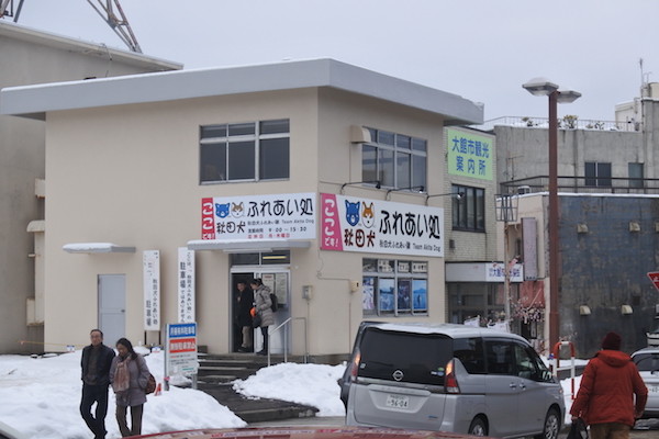 駅前に秋田犬と触れ合える施設があります