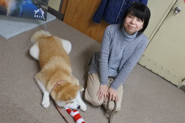 スタッフの女性が「ぜひ秋田犬に会いに来てください」と言っていました。