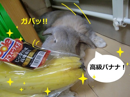 誕生日2