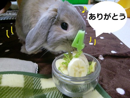 誕生日5