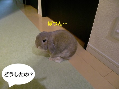たそがれ2